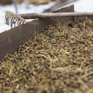 Козий навоз