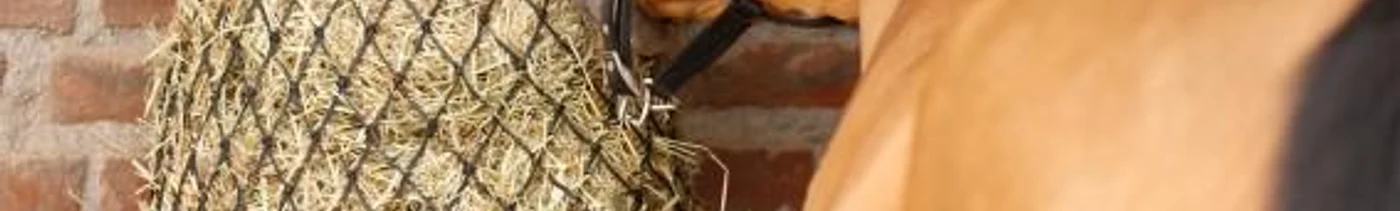 86b229ca-046e-4936-baf2-65f685f441ff-рептух главная.jpg