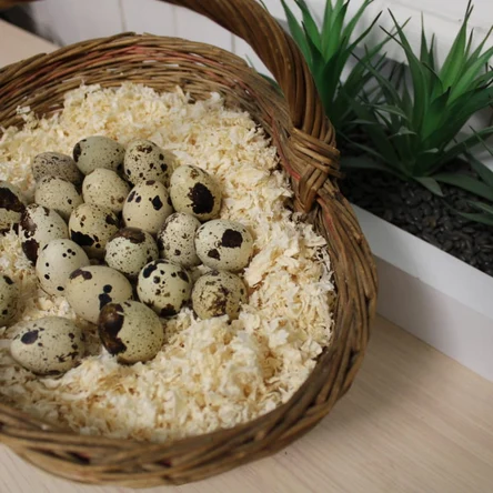 Яйцо (столовое)