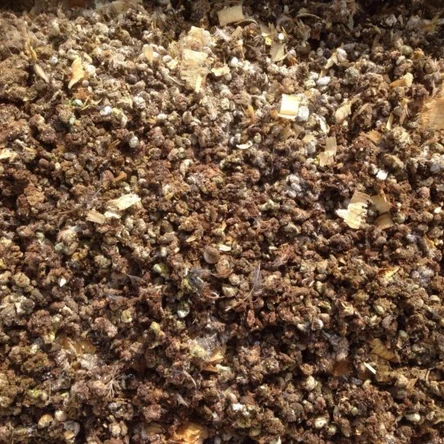 Помёт перепелиный